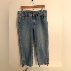 Jag Jeans Womens Size 14 Blue Straight Leg Stretch Zipper Ankle Denim